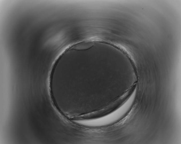 X0000095901422200801181237