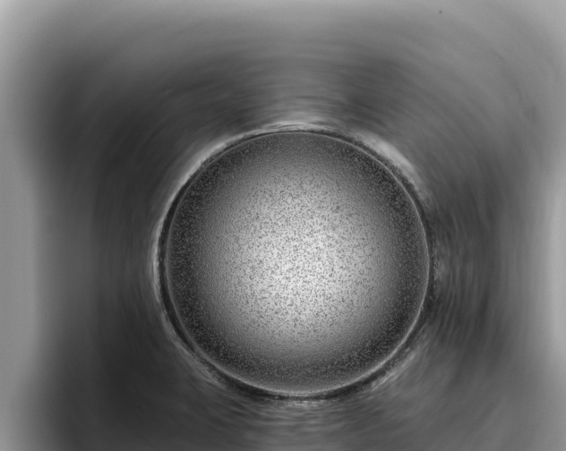 X0000095901423200801181237