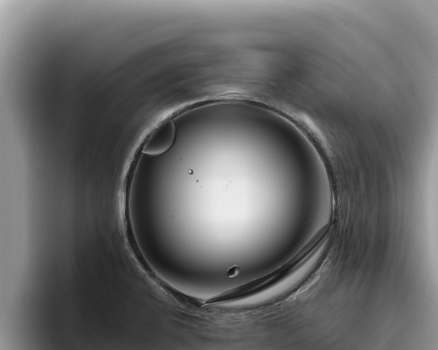 X0000095901424200801181237