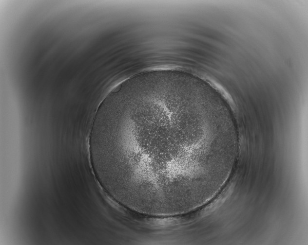 X0000095901425200801181237