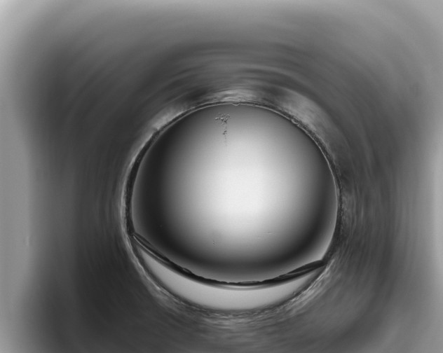 X0000095901426200801181237