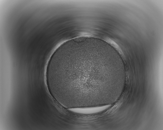 X0000095901427200801181237