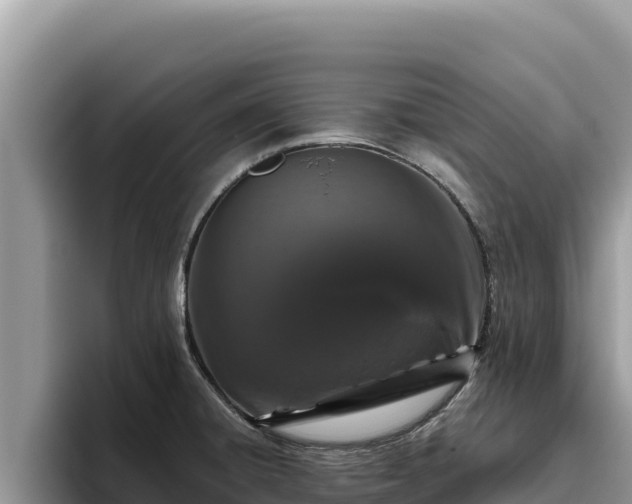 X0000095901428200801181237