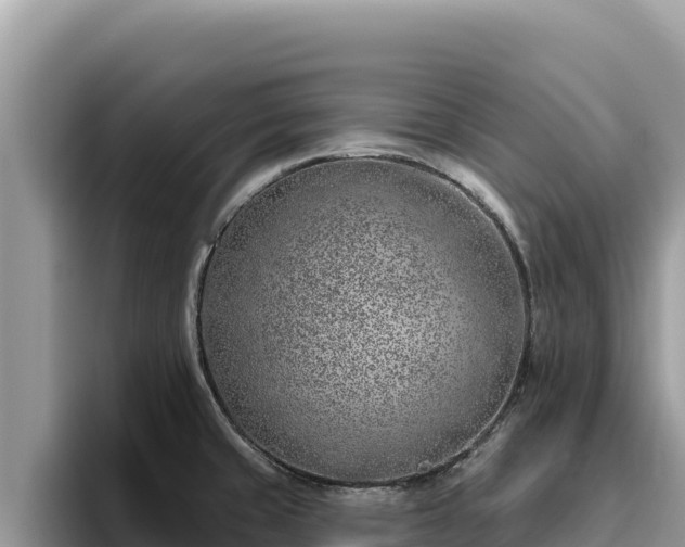 X0000095901429200801181237