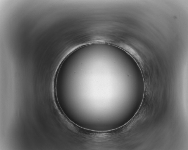 X0000095901431200801181237