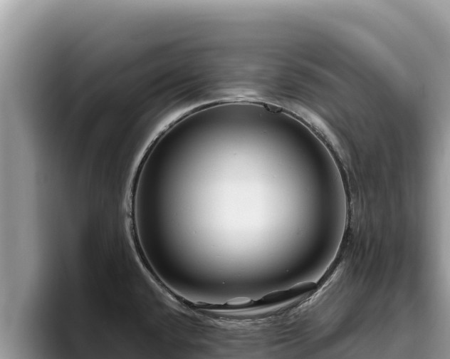 X0000095901432200801181237