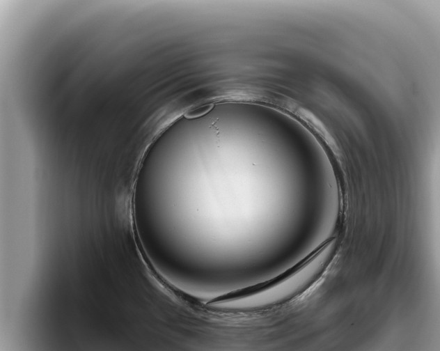 X0000095901433200801181237