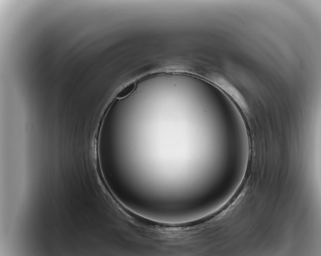 X0000095901436200801181237