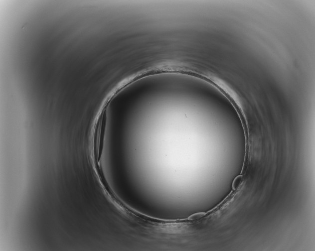 X0000095901437200801181237