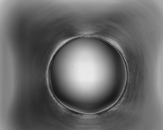 X0000095901440200801181237