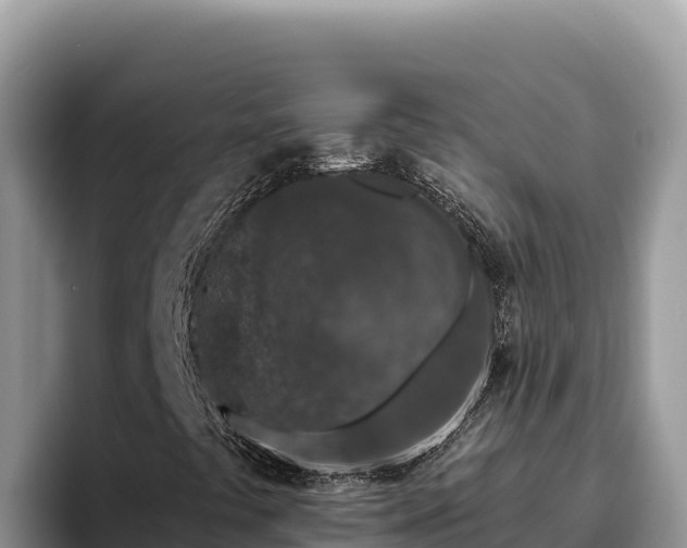 X0000095901441200801181236