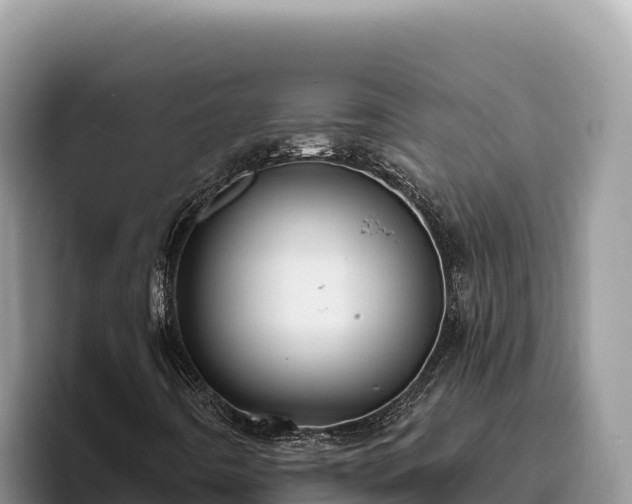 X0000095901442200801181236