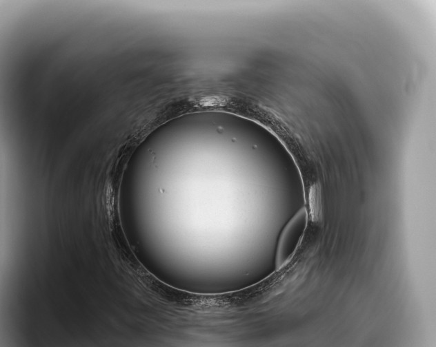 X0000095901443200801181236