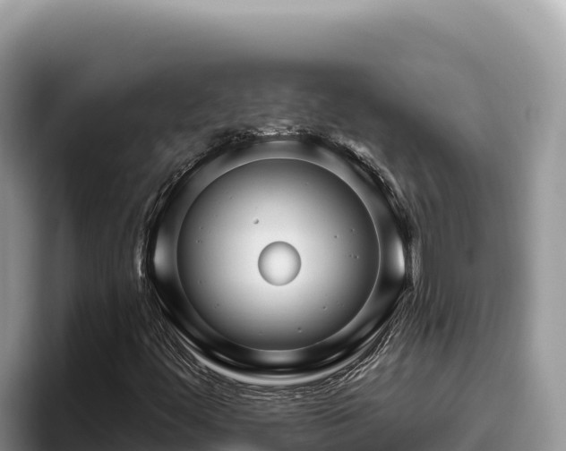 X0000095901444200801181236