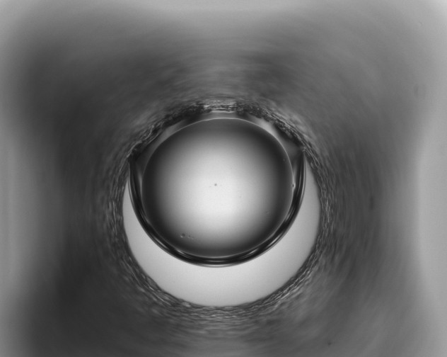 X0000095901445200801181236