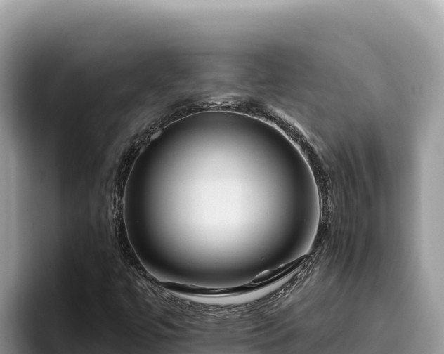 X0000095901447200801181236