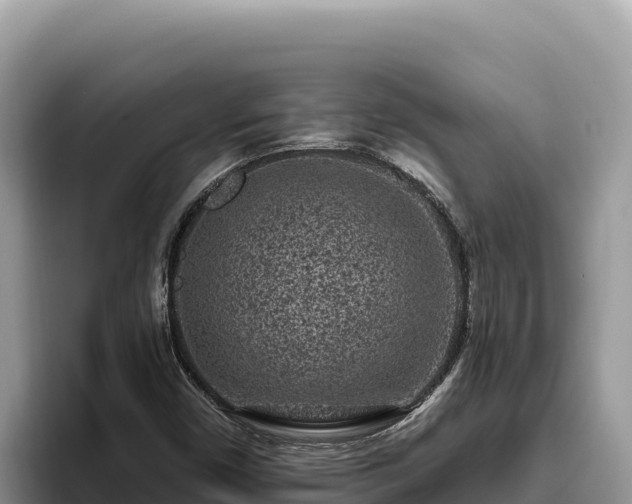 X0000095901450200801181236