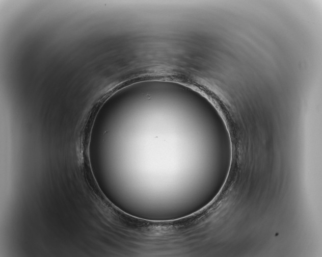 X0000095901451200801181236