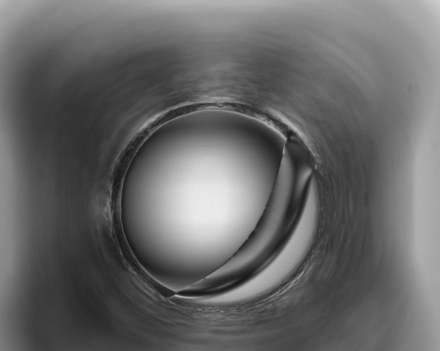 X0000095901452200801181236