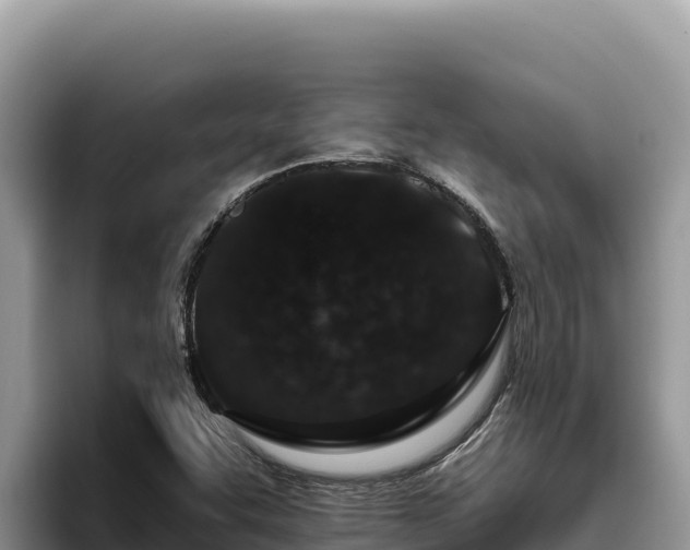 X0000095901455200801181236