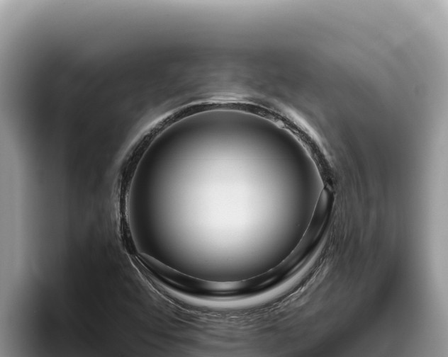 X0000095901456200801181236