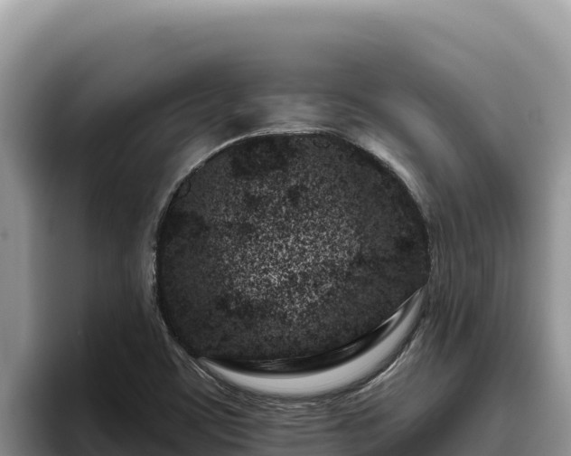 X0000095901459200801181236