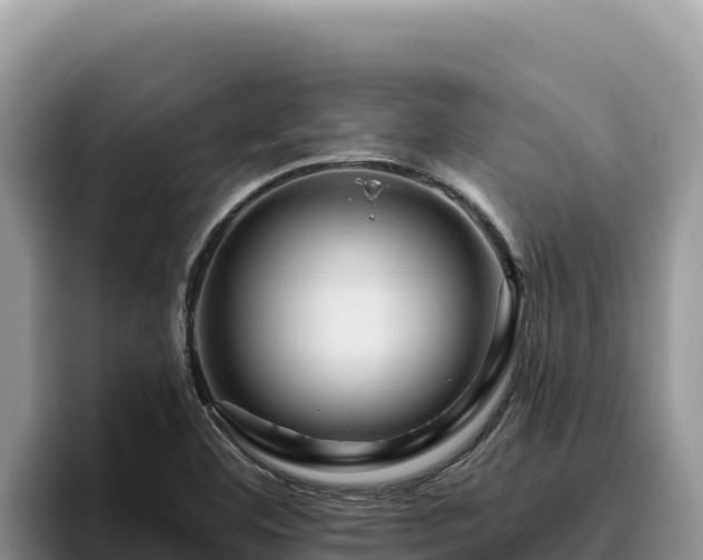 X0000095901460200801181236