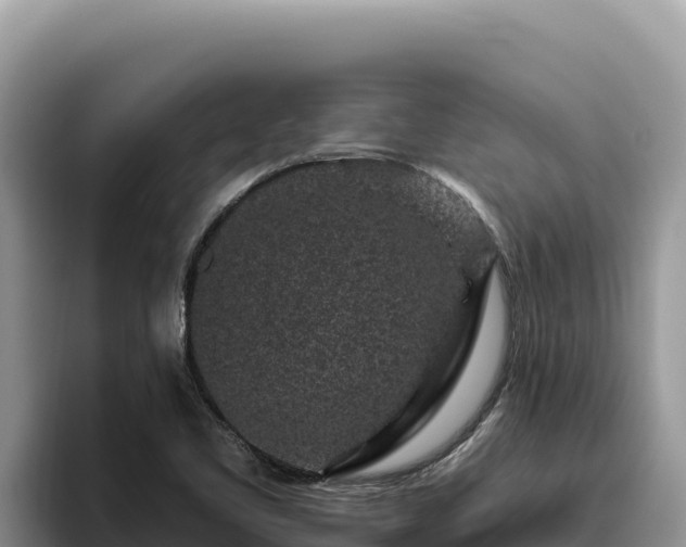 X0000095901461200801181236