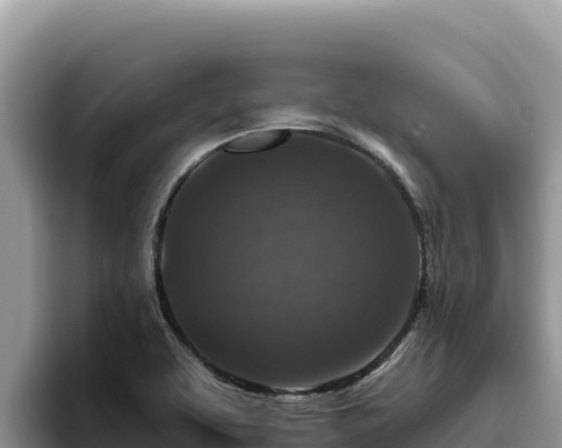 X0000095901463200801181236