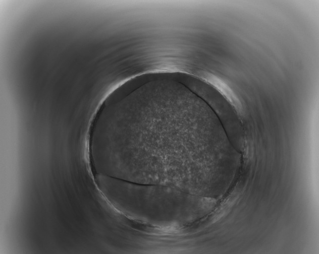 X0000095901468200801181236