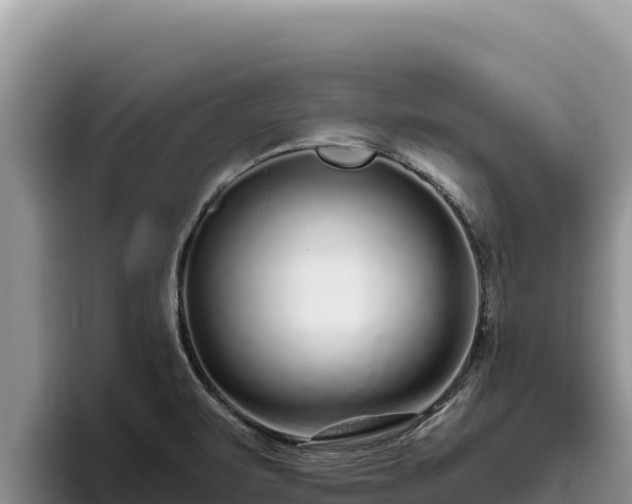 X0000095901471200801181236