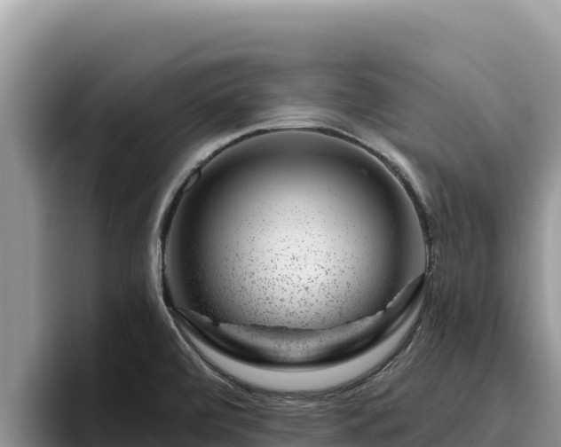 X0000095901472200801181236