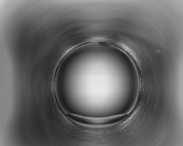 X0000095901473200801181236