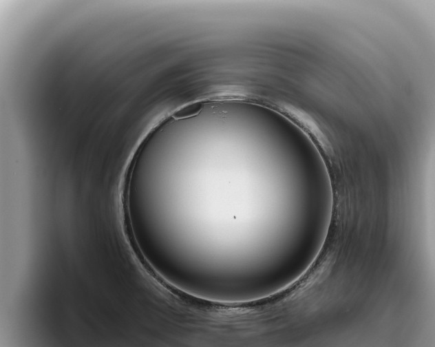 X0000095901475200801181236