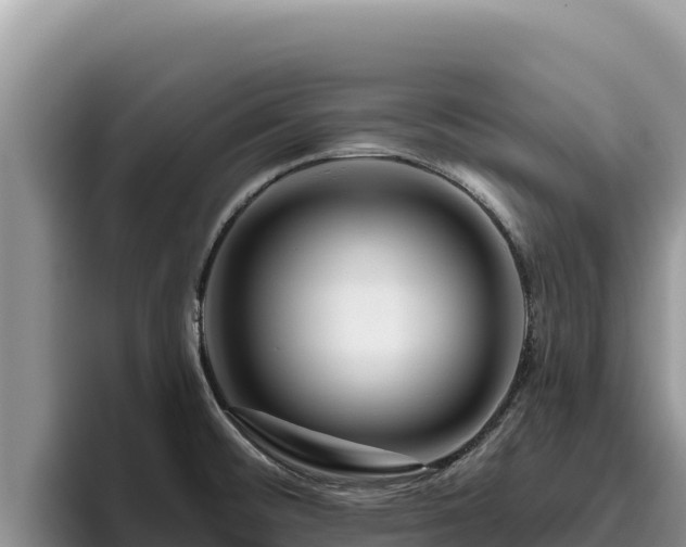 X0000095901476200801181236