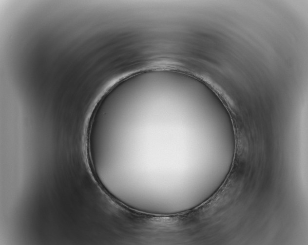 X0000095901478200801181236