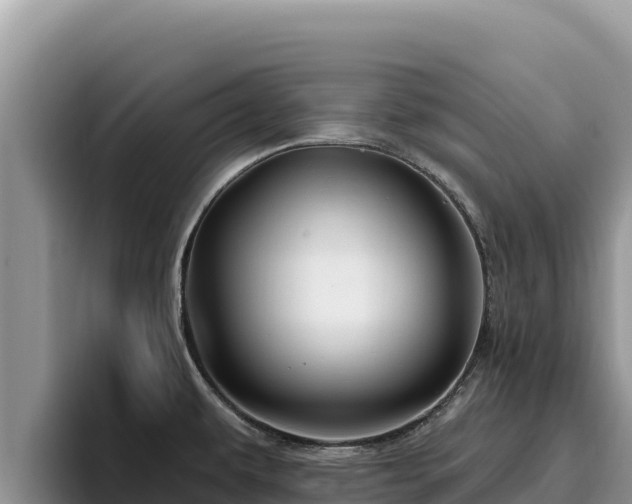 X0000095901479200801181236