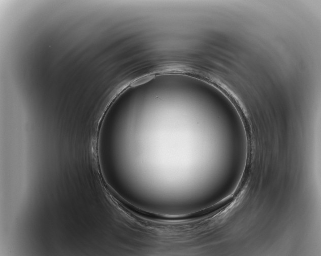 X0000095901481200801181236