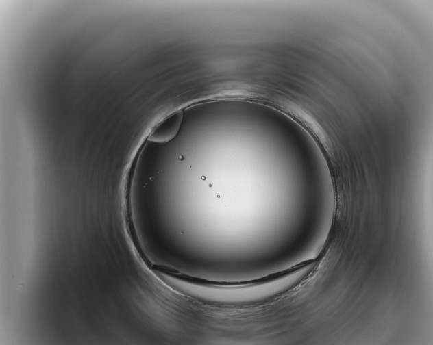 X0000095901483200801181236