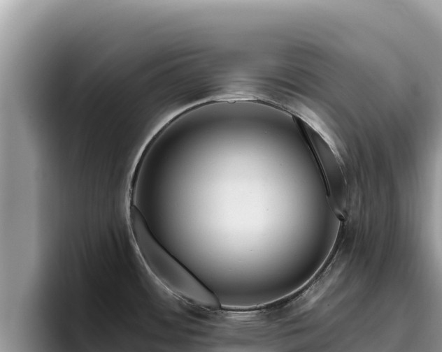 X0000095901484200801181236