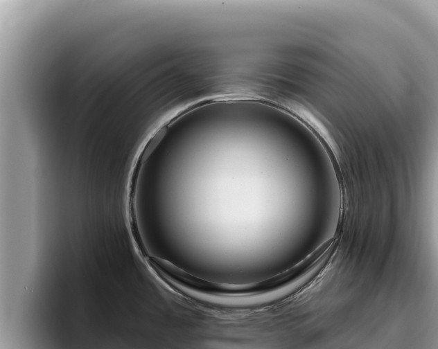 X0000095901485200801181236