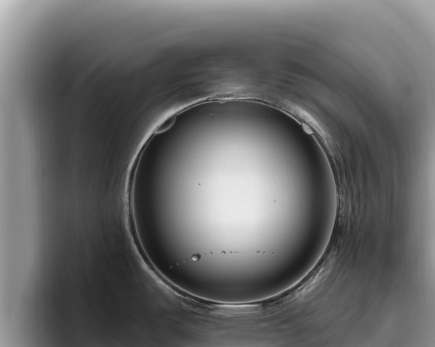 X0000095901487200801181236