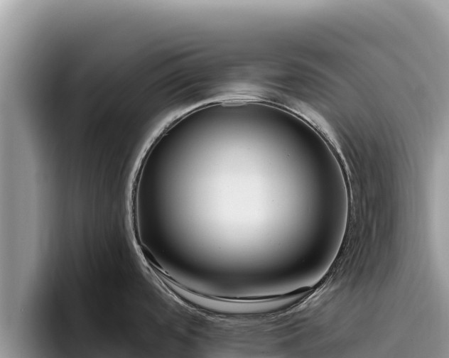 X0000095901488200801181236