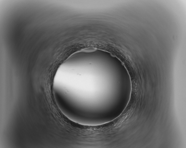 X0000095901489200801181235