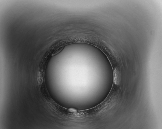 X0000095901491200801181235