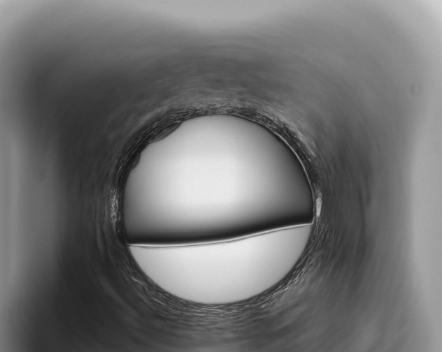 X0000095901492200801181235