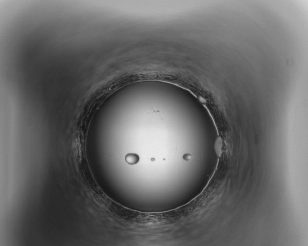 X0000095901493200801181235