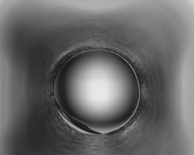 X0000095901494200801181235
