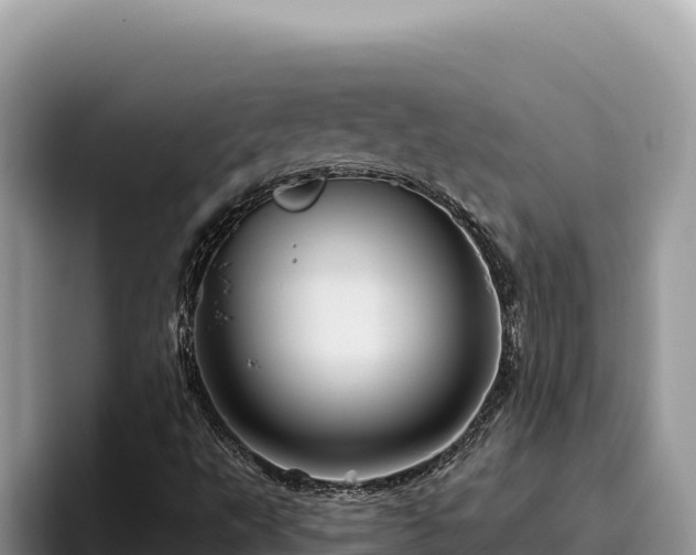 X0000095901495200801181235