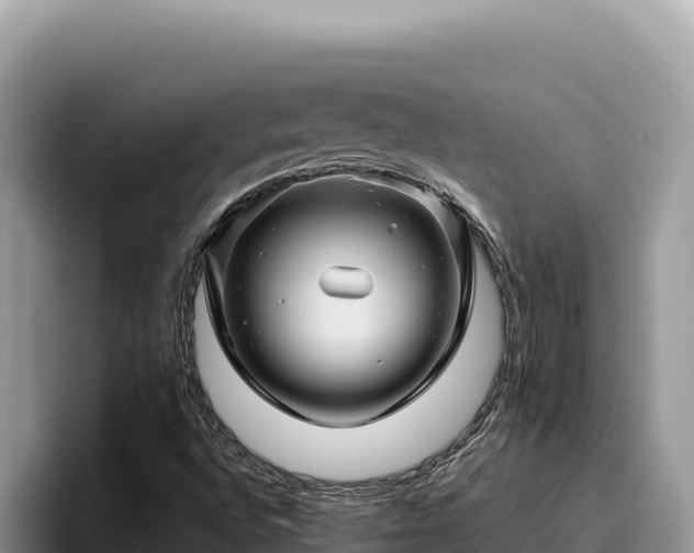 X0000095901496200801181235